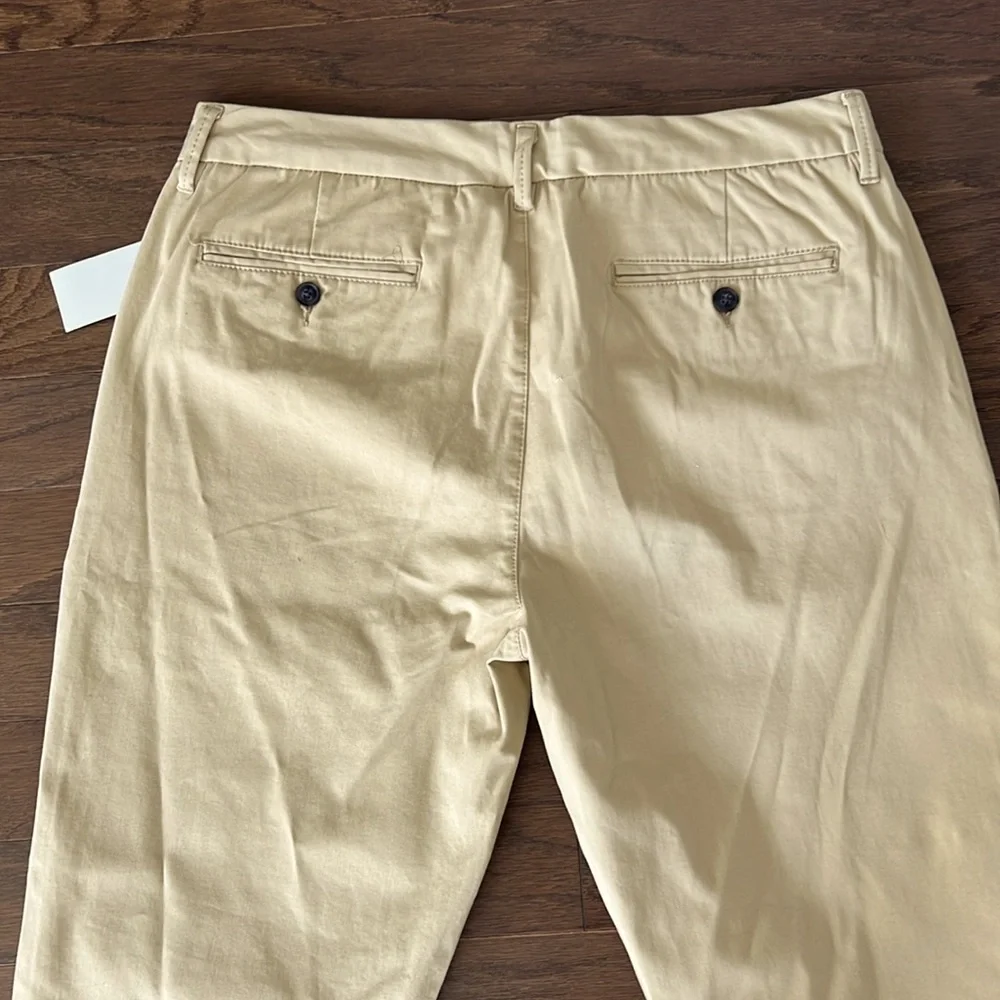 Taylrd Tech Chinos